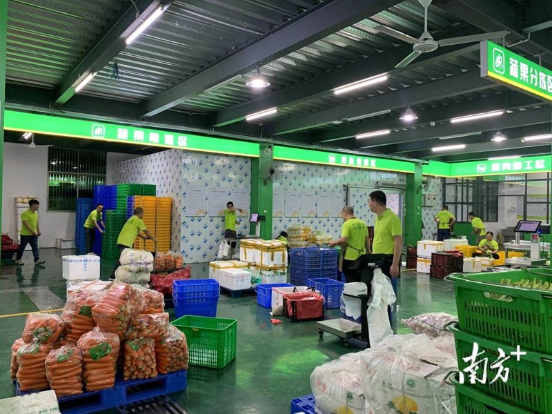 农业服务热线电话号码：开启绿色种植之旅