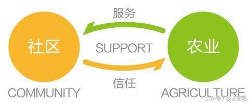 生态农业众筹