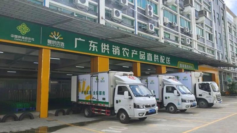 生态农业：自然与和谐的完美融合
