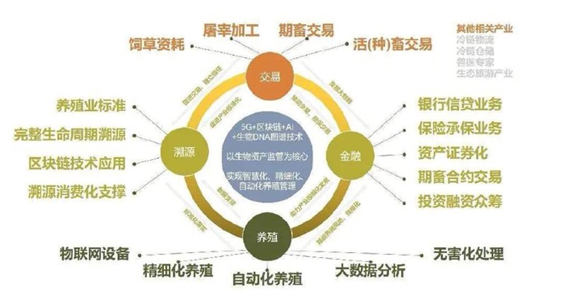 生态农业：一片绿色的希望
