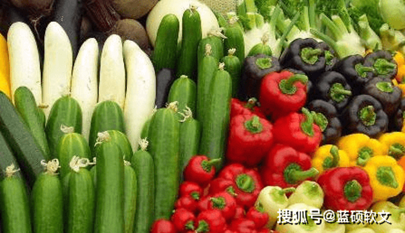 生态农业：从自然中汲取智慧